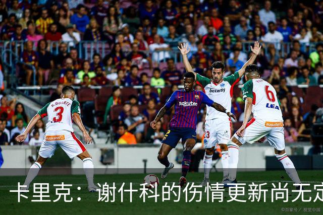 卡里克：谢什科的伤情更新尚无定论，未来需谨慎应对